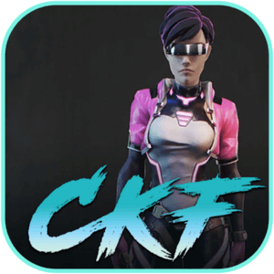 Cyber Knights: Flashpoint 2.0.13